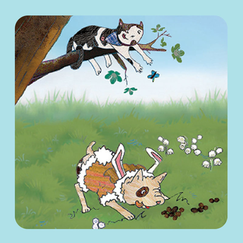 Kinderbuch